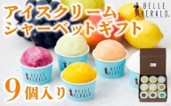 【バラエティセット】人気のアイスクリーム・シャーベット９個入り詰合せ　食べ比べ スイーツ