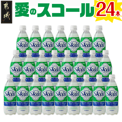 愛のスコール 500ml×24本_AA-2302 53238 - 宮崎県都城市