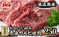 おおいた和牛 赤身カルビ焼肉 (250g) 【DH200】【(株)ネクサ】