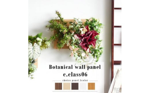 Botanical c.class 06　ダークブラウン