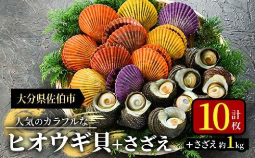 海の直売所 人気のヒオウギ貝withサザエ 大分県佐伯市 Au Pay ふるさと納税