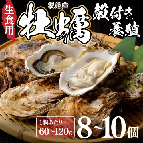 【国産】殻付き牡蠣旅する牡蠣プレミアムオイスター室戸海洋深層水 坂越8～10個入り 53372 - 高知県室戸市