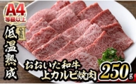 おおいた和牛 上カルビ 焼肉 (250g)【DH219】【(株)ネクサ】