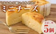 ＜お試し用＞濃厚チーズケーキ (計5個) 【AJ74】【(有)ケーキ大使館クアンカ・ド－ネ】