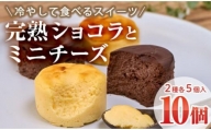 濃厚ショコラ・チーズケーキ (合計10個・2種×5個)【AJ75】【(有)ケーキ大使館クアンカ・ド－ネ】
