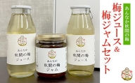 秋間の梅ジュース(180ml) 梅ジャム(140g) セット / 梅ドリンク 果汁飲料 うめジャム 群馬県 特産品