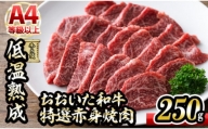 おおいた和牛 特選 赤身 焼肉 (250g)  【DH239】【(株)ネクサ】