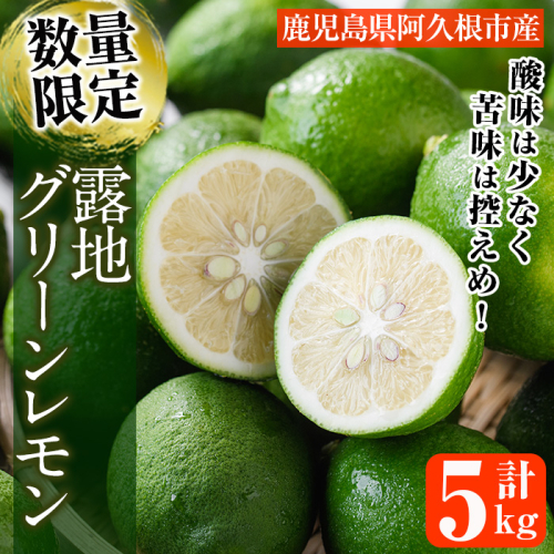 数量限定!露地マイヤーグリーンレモン(5kg) 国産 檸檬 グリーンレモン 果実 果物 フルーツ 柑橘 デザート【桐野柑橘株式会社】akn070-17 534855 - 鹿児島県阿久根市