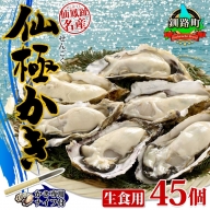 殻付き牡蠣 仙極かき 45個 生食用 かきナイフ付 牡蠣 かき カキ 冷蔵 北海道 釧路町