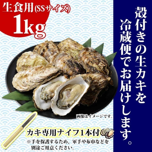 殻付き牡蠣 仙極かき SSサイズ 1kg 生食用 かきナイフ付 牡蠣 かき