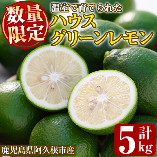 数量限定！ハウスマイヤーグリーンレモン(5kg) 国産 檸檬 果実 果物 フルーツ 柑橘 デザート お菓子作り 期間限定 数量限定【桐野柑橘株式会社】akn070-18 535575 - 鹿児島県阿久根市
