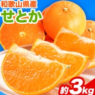 【先行予約】とろける食感!ジューシー柑橘 せとか 約3kg 魚鶴商店《2025年2月下旬-3月下旬頃出荷》 和歌山県 日高町 せとか 柑橘