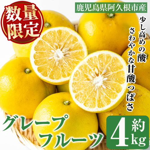 <先行予約受付中!2026年2月以降順次発送>数量限定!グレープフルーツ(約4kg)国産 果実 果物 フルーツ 柑橘 デザート 期間限定【桐野柑橘株式会社】akn070-04 535581 - 鹿児島県阿久根市