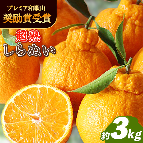 採れたてフレッシュ! 超完熟・葉付き 不知火 3kg まるまつ農園《3月中旬-4月末頃出荷》  和歌山県 日高川町 不知火 柑橘 しらぬい  完熟 535683 - 和歌山県日高川町