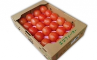 [発送時期:2024年1月中旬〜3月中旬]熊本県JAくま産 球磨のトマト 4kg