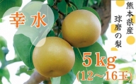 【発送時期：2024年8月上旬～8月中旬】熊本県ＪＡくま産　球磨の梨　幸水 5kg（12玉～16玉）