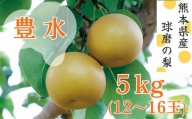 【発送時期：2024年8月中旬～8月下旬】熊本県ＪＡくま産　球磨の梨　豊水 5kg（12玉～16玉）