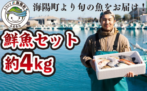産地直送! 海陽町より旬の魚をお届け! 鮮魚セット 中セット 約4kg 詰め合わせ 536740 - 徳島県海陽町