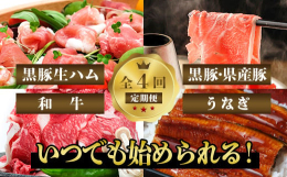 水迫畜産の鹿児島自慢の豚・牛・うなぎをお届けする定期便です&star;自社牧場を持つ水迫畜産が、美味しいお肉をたっぷりと味わっていただきたいとの思いから、定期便を準備しました！ご決済翌月から連