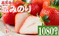 [数量限定]鹿児島県産朝採れイチゴ「恋みのり」約1080g(約270g×4パック)