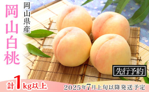 74-09 白桃4玉（1kg以上）【2025年7月上旬～8月上旬頃発送予定】