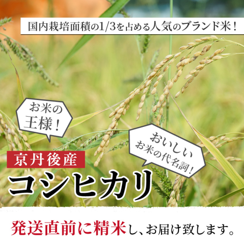 京丹後産 コシヒカリ≪令和6年産≫5kg【12ヶ月定期便】