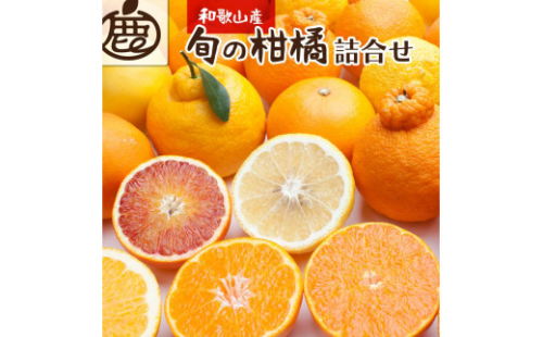 ＜1月より発送＞厳選 柑橘詰合せ3kg+90g（傷み補償分）【有田の春みかん詰め合わせ・フルーツ詰め合せ・オレンジつめあわせ】【光センサー選別】 538036 - 和歌山県那智勝浦町