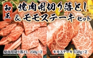 AY029　熊本県産 黒毛和牛　和王焼肉用切り落とし＆モモステーキセット