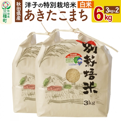 洋子の あきたこまち 特別栽培米 6kg(3kg×2袋) 秋田県産 一等米 【白米】 令和4年産