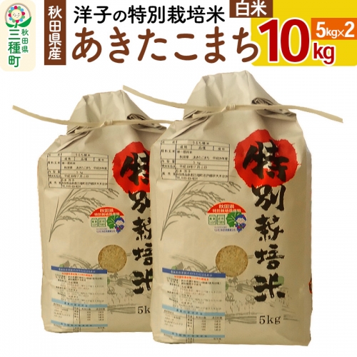 洋子の あきたこまち 特別栽培米 10kg(5kg×2袋) 秋田県産 【白米】 令和4年産