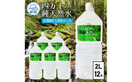 《定期便》 四万十の純天然水 (2L×6本)×2ケース 12回コース 水 天然水 軟水 モンドセレクション金賞受賞 ナチュラルミネラルウォーター 93000円 健康 おいしい 飲みやすい おすすめ 定期購入 定期便 故郷納税 返礼品 高知 四万十川 ご家庭用 まとめ買い