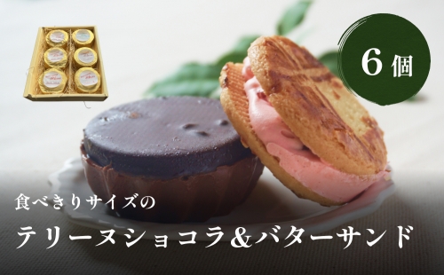 食べきりサイズのテリーヌショコラ&バターサンド６個セット 538784 - 富山県氷見市