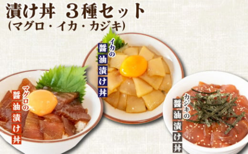 マグロ イカ カジキの醤油漬け丼 各2パックセット 計6パック Ty029 高知県須崎市 Au Pay ふるさと納税