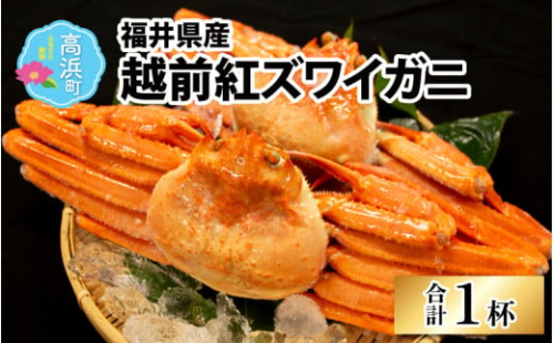 【数量・期間限定】福井県産 越前 紅ズワイガニ ×1杯【急速冷凍】（プロトン凍結） ｜ 紅ずわいがに ずわいがに ズワイガニ かに 蟹 カニ  かにみそ かに鍋 かにしゃぶ ボイル