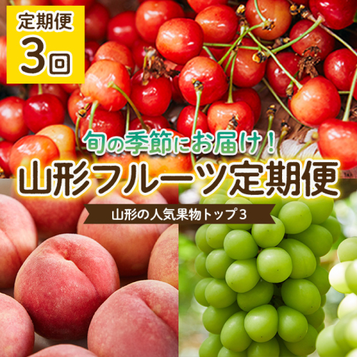【定期便3回】やまもりやまがたの定期便～山形の人気果物トップ3～ 【令和8年産先行予約】FS25-598 539449 - 山形県山形市