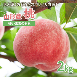 【山形連携中枢都市圏における共通返礼品です。関係市町（山形市、寒河江市、村山市、尾花沢市、山辺町、中山町、河北町、西川町、大石田町又は大江町）内で生産された桃をお届けします。】 人気上昇中の硬い桃をご