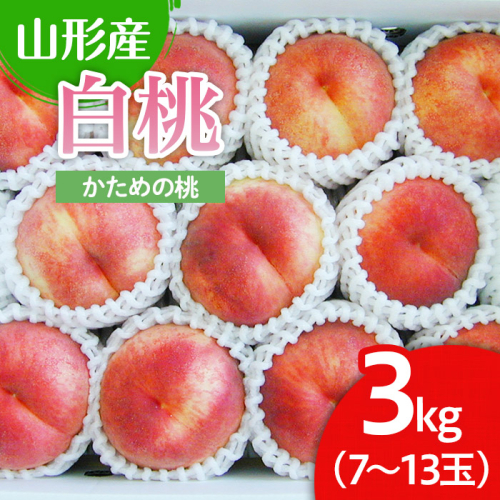 山形市産 白桃 3kg(かための桃) 【令和8年産先行予約】FU22-025 539472 - 山形県山形市