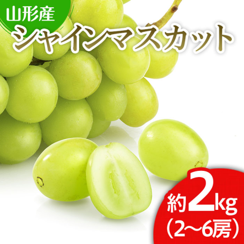 山形市産 シャインマスカット 秀 約2kg(2～6房)[後半]【令和8年産先行予約】FS24-660 539484 - 山形県山形市