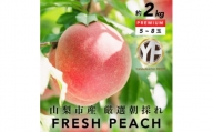 [2024年先行受付]とろける甘み YAMANASHI PRIDE 完熟 桃 (5〜8個)