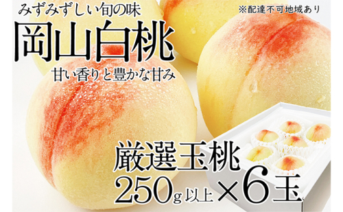 【✖】桃 2024年 先行予約 岡山の白桃 250g以上×6玉 白桃 旬 みずみずしい 晴れの国 おかやま 岡山県産 フルーツ王国 果物王国 540078 - 岡山県里庄町