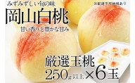 桃 2024年 先行予約 岡山の白桃 250g以上×6玉 白桃 旬 みずみずしい 晴れの国 おかやま 岡山県産 フルーツ王国 果物王国
