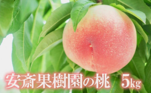 No.2321もも　「さくら白桃」約5kg【2025年発送　先行予約】