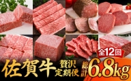 【全12回】 A5ランク 佐賀牛 霜降り 食べ比べ 定期便 約2-3人前 総計6.8kg 50万 /焼肉どすこい [UCC004] 最高級 牛肉 肉 ステーキ スライス ローストビーフ 焼肉