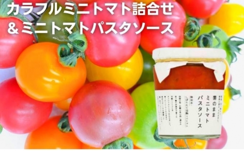 「栗林農園」素のままパスタソースとカラフルミニトマト詰合せ 540469 - 愛媛県東温市