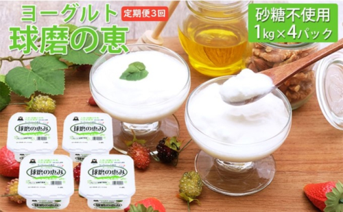 定期便3回 球磨の恵ヨーグルト 1kg×4パック（砂糖不使用）【配送不可：沖縄、離島】 乳製品 発酵食品 朝食 間食 新鮮 生乳 とろ～り もっちり 酸味がない 無糖 4個セット 3回お届け 大容量  540513 - 熊本県錦町