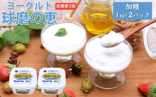 定期便3回 球磨の恵ヨーグルト 1kg×2パック【配送不可：沖縄、離島】 乳製品 発酵食品 朝食 間食 新鮮 生乳 とろ～り もっちり 酸味がない 加糖 2個セット 3回お届け 大容量  540514 - 熊本県錦町