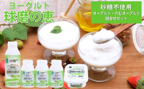球磨酪農おすすめ！球磨の恵み ヨーグルト（砂糖不使用） 詰合せ セット ヨーグルト1kg×1個・のむヨーグルト（450g×1本・150g×3本）※配送不可：沖縄・離島 乳製品 発酵食品 朝食 無糖  540515 - 熊本県錦町
