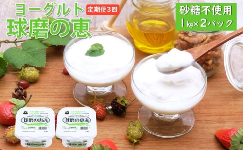 定期便3回 球磨の恵ヨーグルト 1kg×2パック（砂糖不使用）【配送不可：沖縄、離島】 乳製品 発酵食品 朝食 間食 新鮮 生乳 とろ～り もっちり 酸味がない 無糖 2個セット 3回お届け 大容量  540516 - 熊本県錦町