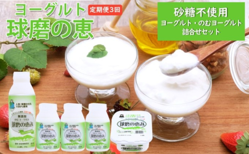 定期便3回 球磨酪農おすすめ！球磨の恵み ヨーグルト（砂糖不使用） 詰合せ セット ヨーグルト1kg×1個・のむヨーグルト（450g×1本・150g×3本）※配送不可：沖縄・離島 乳製品 発酵食品  540517 - 熊本県錦町