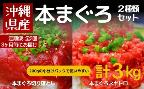 【定期便：全3回】3ヶ月に1度届く！沖縄県産　本まぐろ切り落とし＆ネギトロセット　計3kg（1kg×3回）